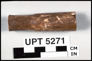 Bone tube