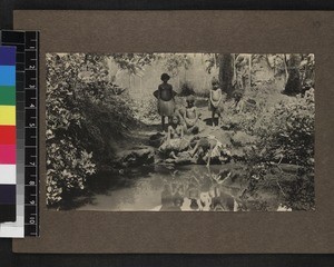 Group of girls by lake, Mailu, Papua New Guinea, ca.1905