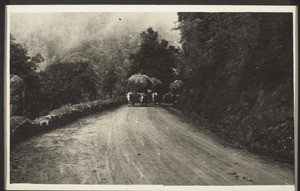 Nilgiris Road