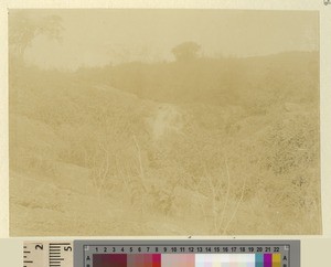 Hillside and waterfall, Kikuyu, Kenya, ca.1901