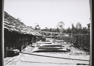 Rumah Riam Veranda. Reistrocknen auf der Veranda