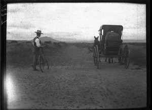 Grasshopper swarm on the road to Pietersburg, Elim, Limpopo, South Africa, ca. 1901-1907