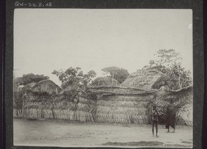 102. Mat fence round a hausa village