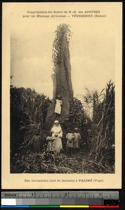 Ant hill, Kpalime, Togo, ca. 1920-1940