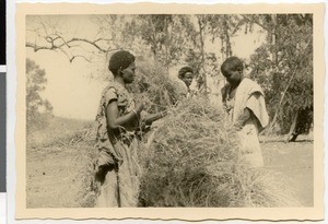 Carrying straw, Ayra, Ethiopia, ca.1951-1952