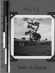 Market in Arusha, Tanzania, 1938-1939