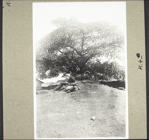 Isango stones on the small artifical hillock opposite the Isango house