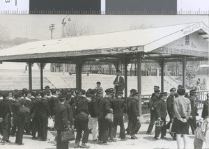 Korea Christian School students at spring picnic pavilion