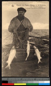 Man drawing in fish in a net, Canada, ca.1920-1940