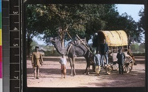 A camel cart, India, s.d