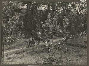 Men hauling a cart loaded with stones, Tanzania, ca.1929-1940