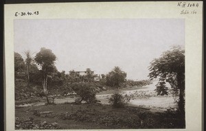 Cocoa farm in Mbamba near Victoria