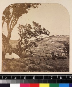 Distant view of town, Madagascar, ca. 1865-1885