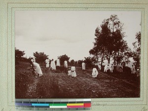 Nursery, Midongy, Madagascar, 1901