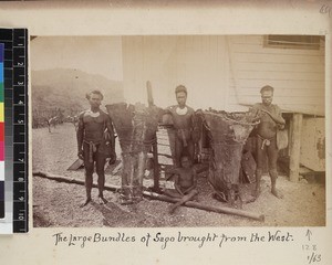 Men with sago, Papua New Guinea, ca. 1890