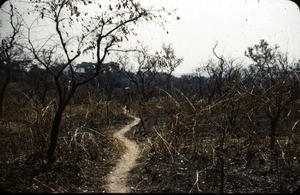 Dry season, Waza, Far North Region, Cameroon, 1953-1968