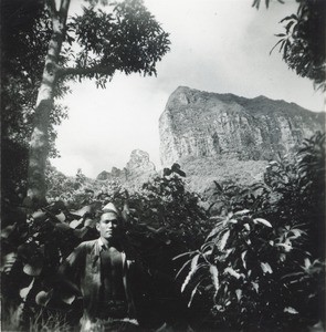 At Bora-Bora island, view on mountains