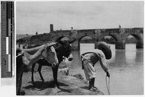 Young man of the Seri tribe looking into a river, Mexico, ca. 1946