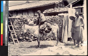 Travel by pony, Sichuan, China, ca.1900-1920