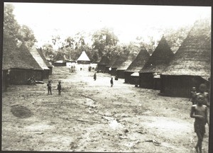 King's compound in Nkikog