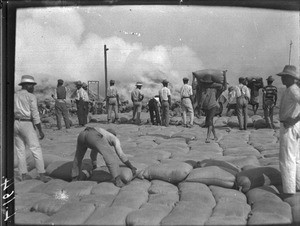 Fodder fire, Maputo, Mozambique, ca. 1901-1902