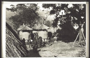 A Mbembe village