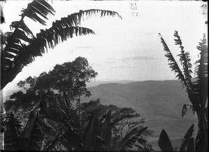 View of Rivierplatz, Lemana, Limpopo, South Africa, ca. 1906-1907