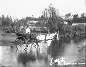 Cart crossing a flooded road, Pretoria, South Africa, ca. 1896-1911
