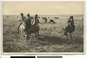 Shepherd boys on the gold field near Bethel, South Africa