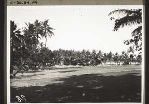 Landscape, Basrur