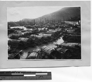 Typhoon shelters in Hong Kong, China