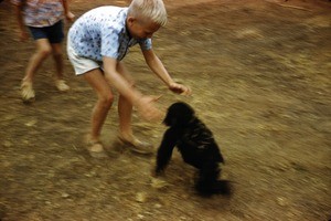 Arne and chimpanzee, Magba, West Region, Cameroon, 1955-1968