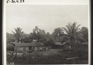 Blick vom Doktorhaus in Bonaku (Kam.)