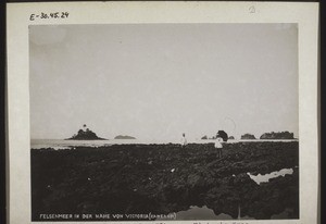 A sea of rocks near Victoria