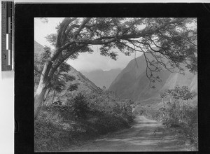 Road in Iao Valley, Hawaii, ca. 1920-1940