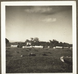 Cemetary near Honyen