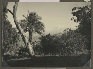 Vista to Mt. Kibo, Mamba, Tanzania, ca.1929-1940