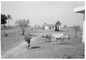 East Pakistan (from 1971 Bangladesh).The Amnura Nursing Station/apartments, 1968