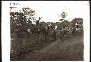 Auf der Reise nach Nkuko