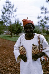 Older man with pineapples, Meiganga, Adamaoua, Cameroon, 1953-1968