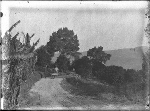 Constructing a road at Lemana Training Institution, Lemana, Limpopo, South Africa, ca. 1906-1907