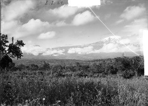 Shrubland in front of Kilimanjaro, Tanzania, ca.1893-1920