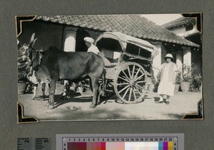 Miss Jane Small, Nagpur, India, ca.1927