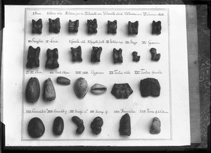 Objects used by an African soothsayer, southern Africa