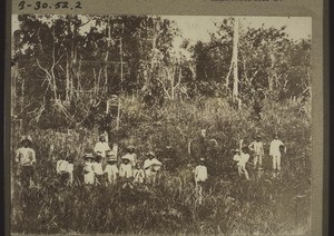 Dayaks harvesting rice on the mission station in Puruk Tjahu