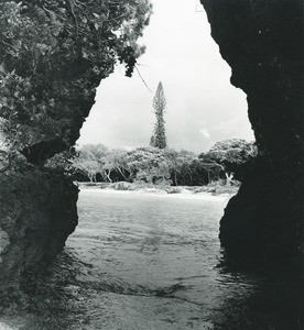 A view taken from the entrance of a cave, Ile des Pins