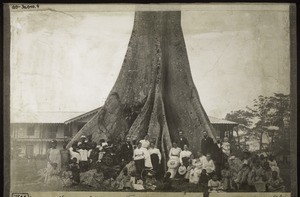 Missionaries at the foot of an enormous silk-cotton tree