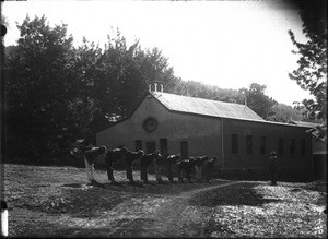 Gymnastics lesson at Lemana Training Institution, Lemana, Limpopo, South Africa, ca. 1906