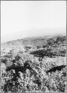 Mount Kibo, Tanzania, ca. 1901-1910