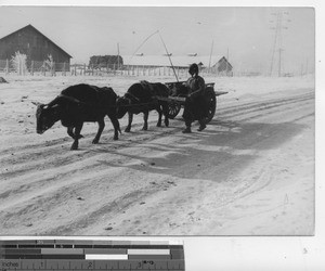 A mode of transportation at Fushun, China, 1940